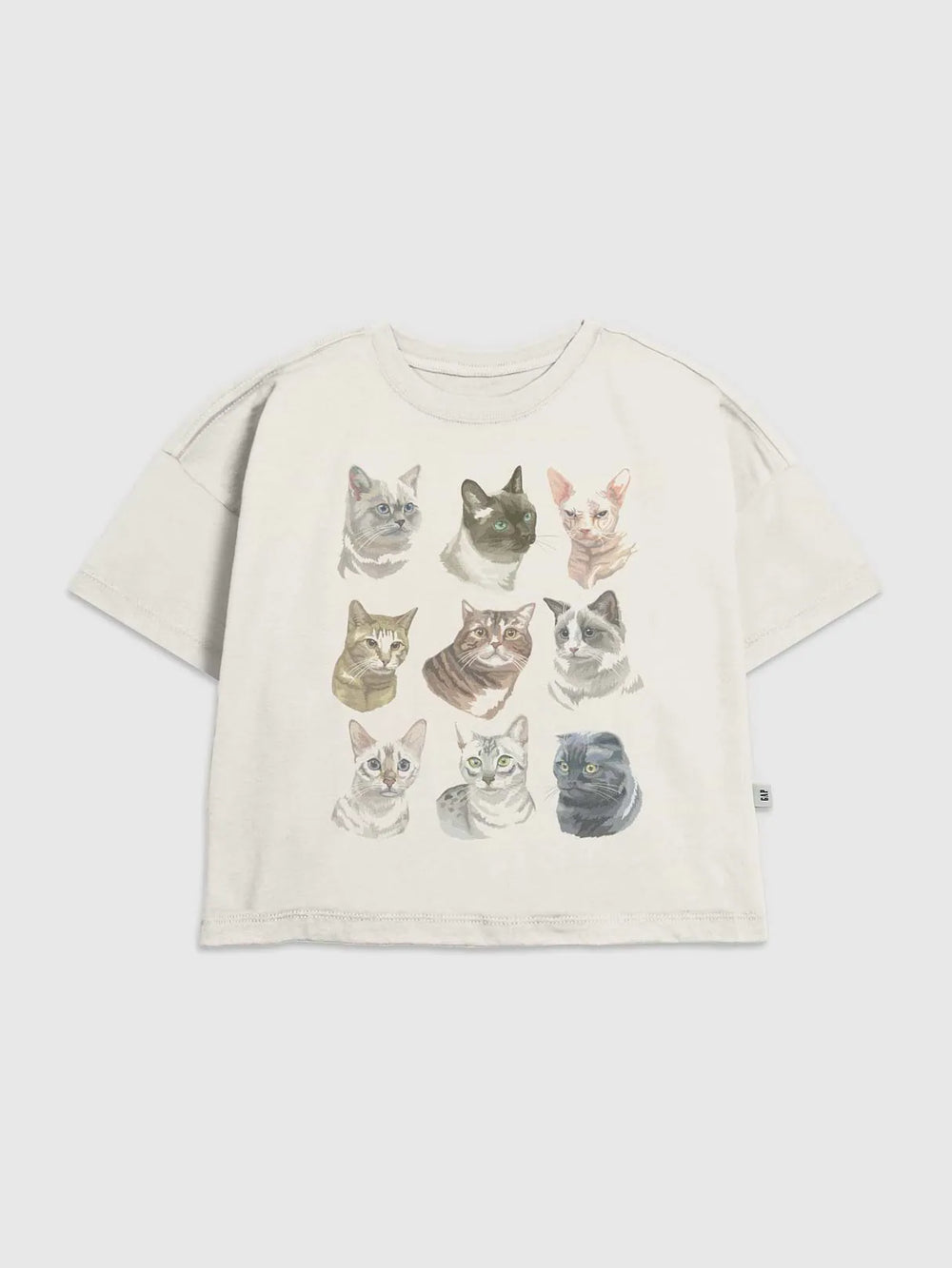 XL