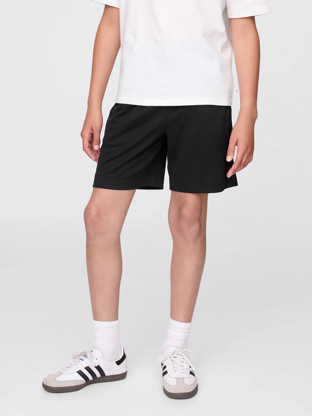 XL (12)