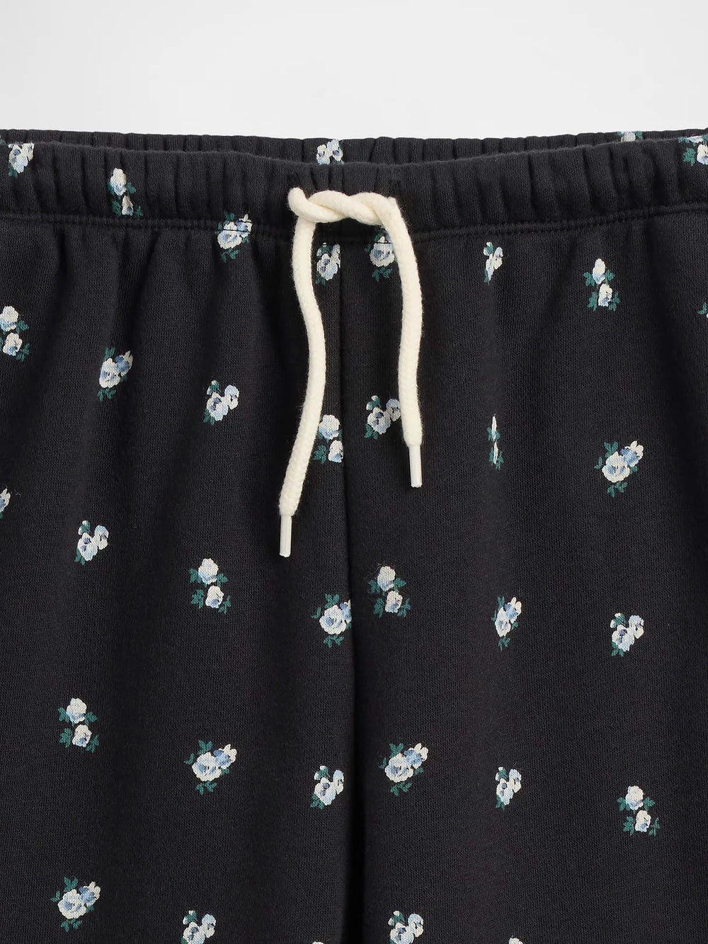 XL (12)