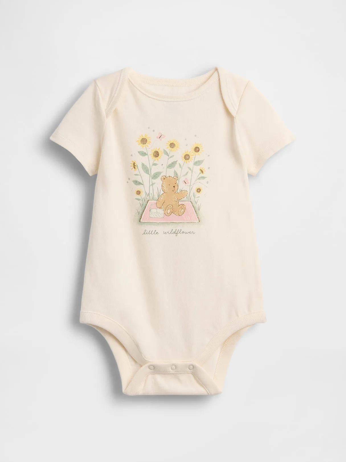 3-6 M