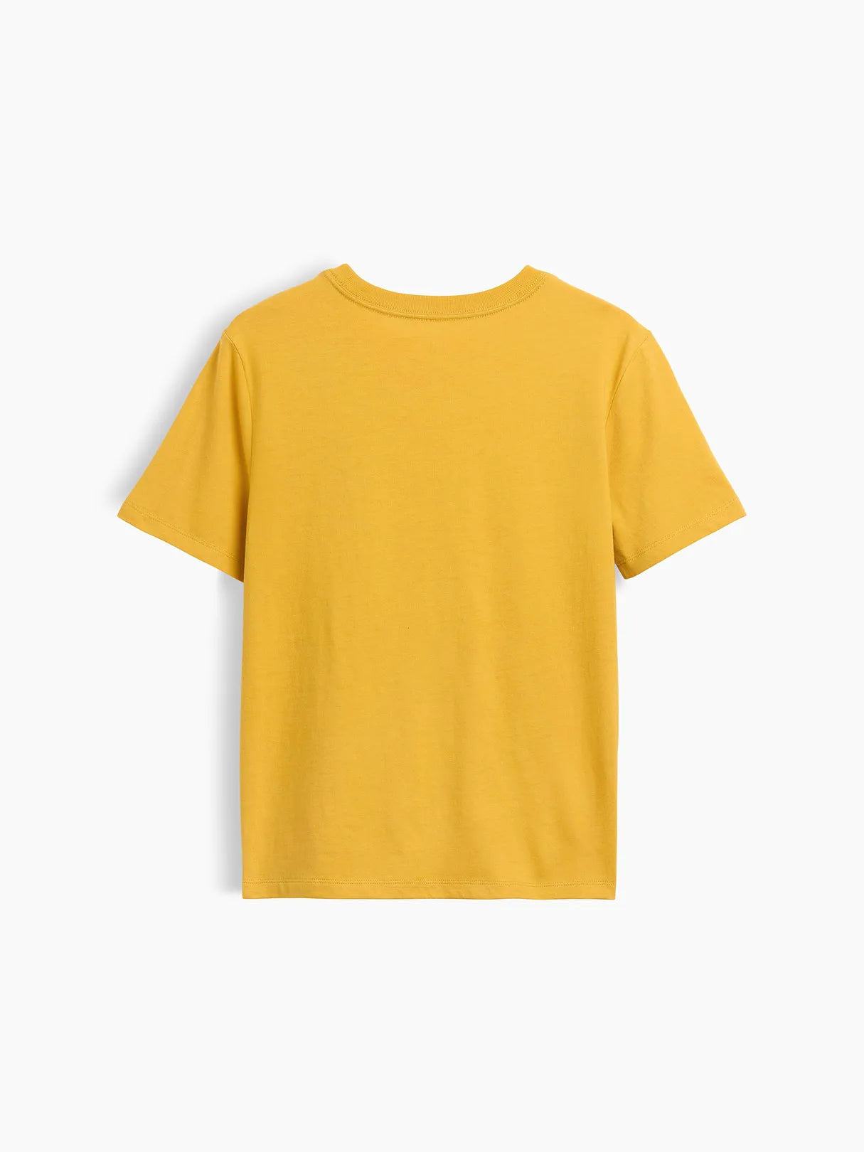 XS (4/5)
