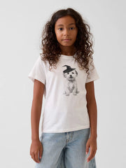 XL (12)