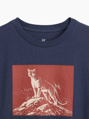 XL (12)