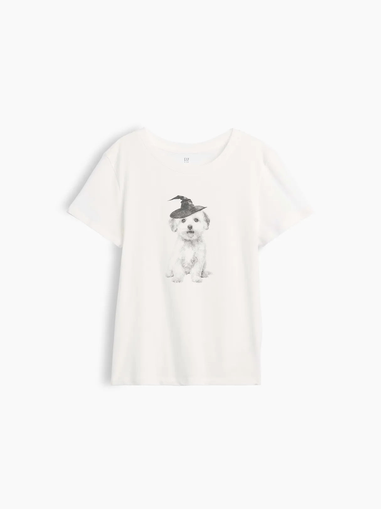 XL (12)