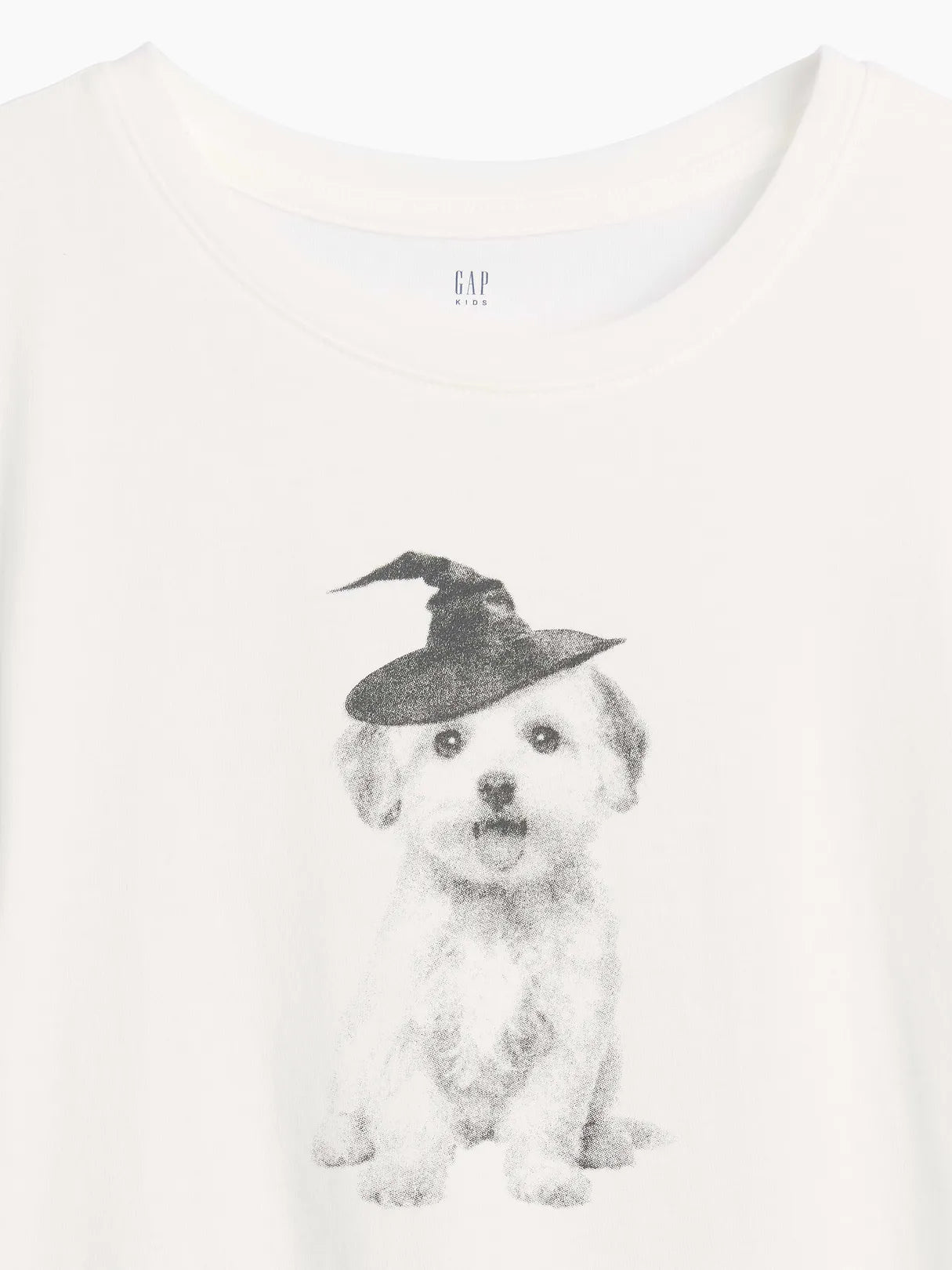 XL (12)