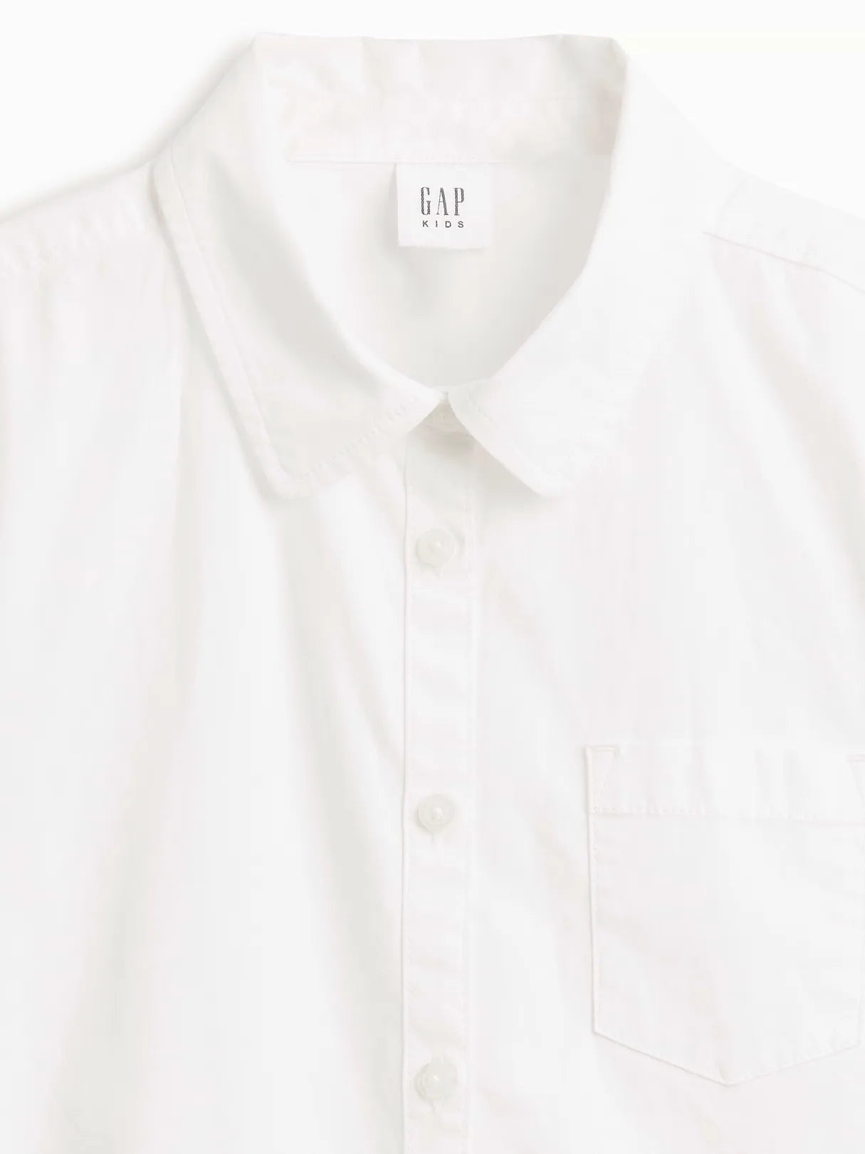 L (10)