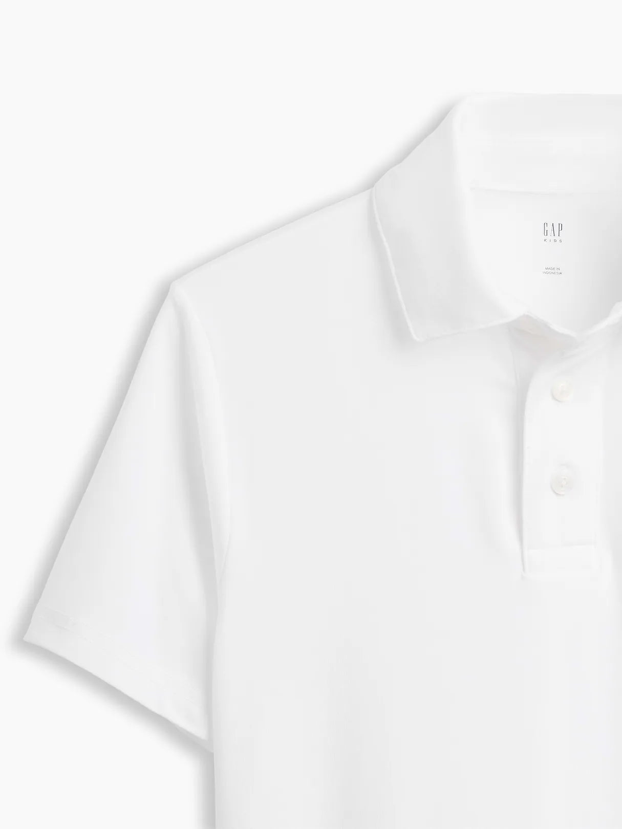 XL (12)