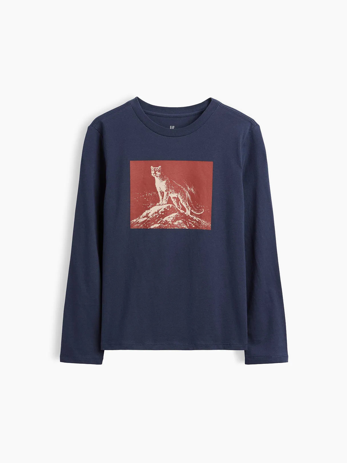 XL (12)