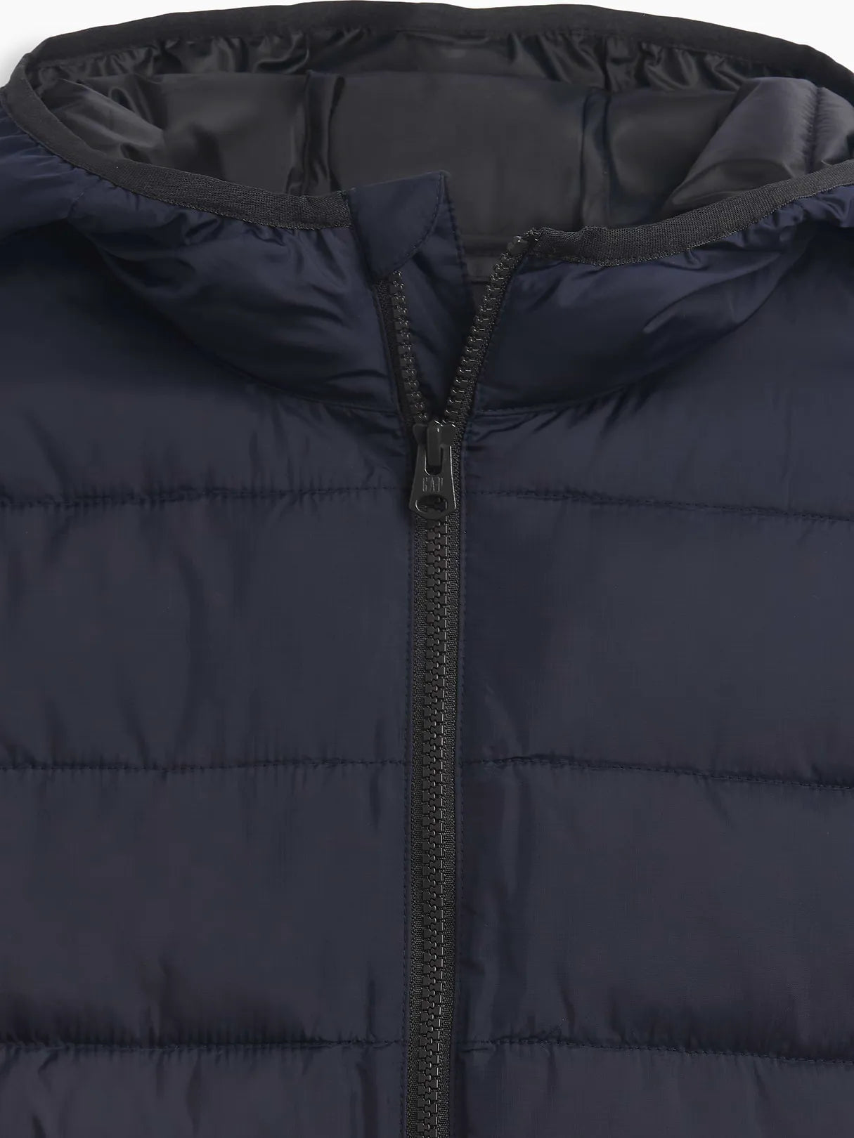 XL (12)